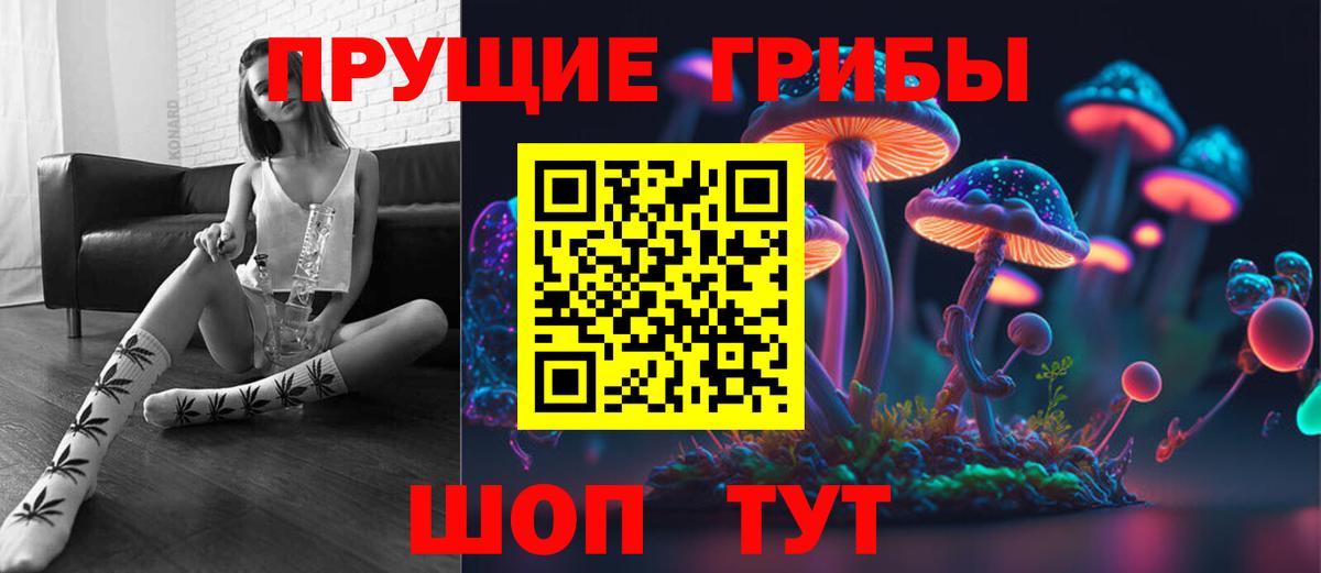 Псилоцибиновые грибы Psilocybine cubensis Альметьевск