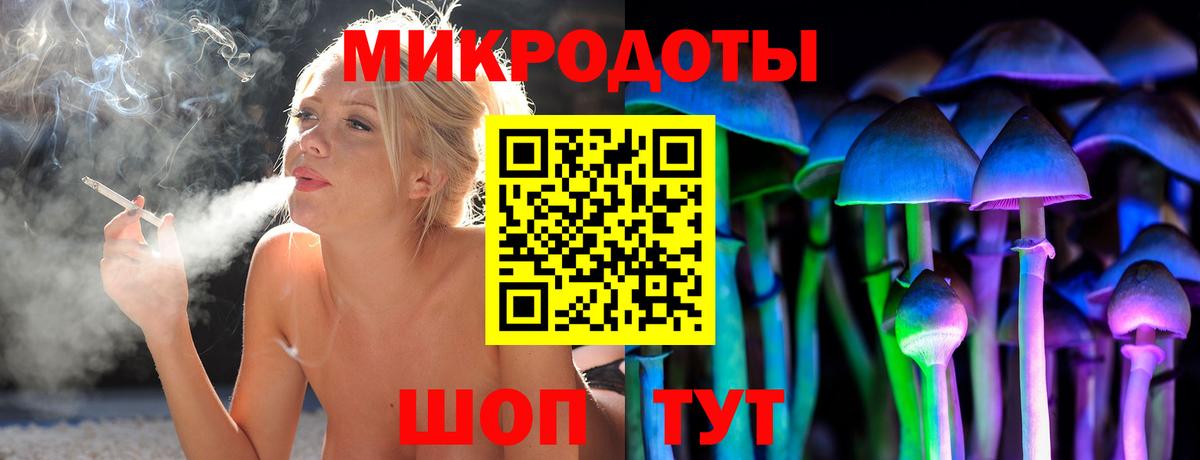 купить наркотик  Галлюциногенные грибы Cubensis  Вход с VPN  Альметьевск  Галлюциногенные грибы GOLDEN TEACHER 